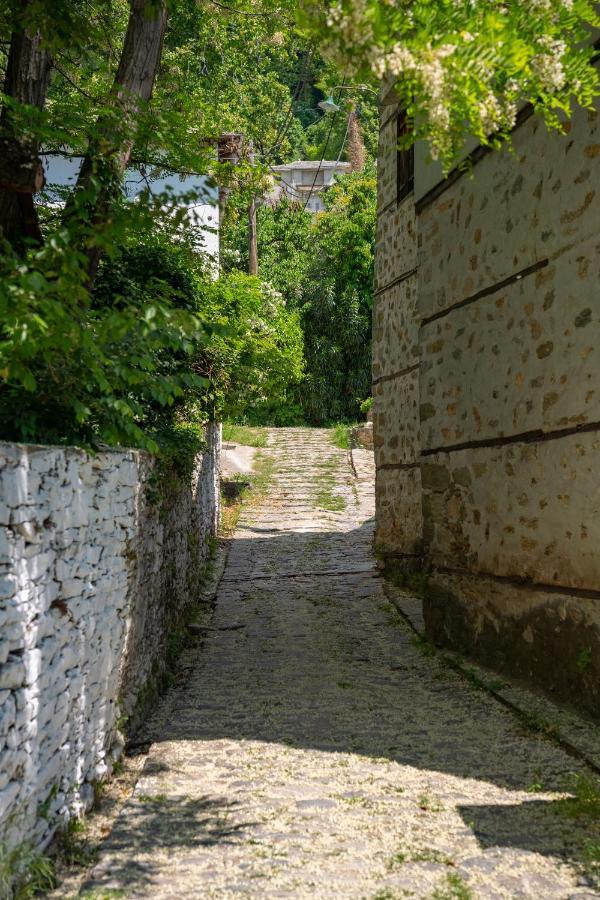 Villa Pelion House With Stunning View To Relax à Vizitsa Extérieur photo